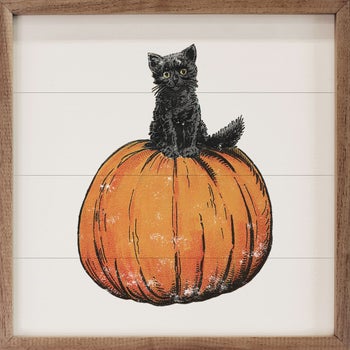 Vintage Halloween Cat On Pumpkin White